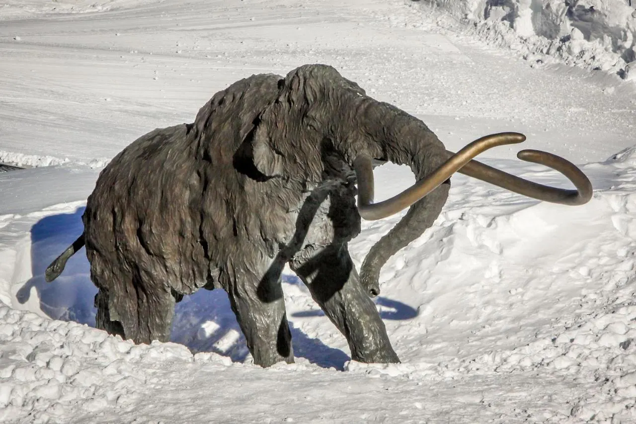 Sierra Megeve Apartment Mammoth Lakes